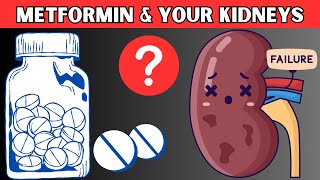 Is Metformin Bad For Your Kidneys? Does Metformin Cause Kidney Damage? This Is What Actually Happens