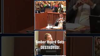 Johnny Depp's Attorney Destroys Amber Heard!