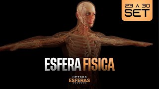 Esfera física - A importância do corpo e como torna-lo produtivo