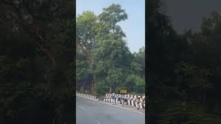 Tirupati to Tirumala Road Video #travel #nature #tirupati #travelvlog