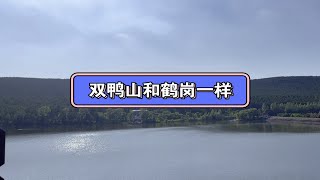 都是资源型城市的双鸭山和鹤岗一样吗？