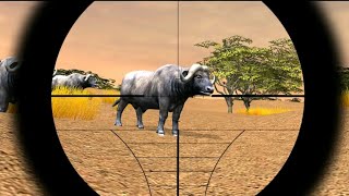 Safari hunting 4×4 | lion shot | Asif khan official