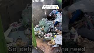 Cleaners Find Hoarder House Buried in Urine-Filled Coors Light Cans || Dogtooth Media