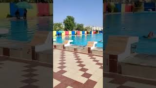 Swimming pool ( Summer paradise)😍