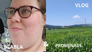 Une journée dans ma vie #3 -vlog - blabla et promenade