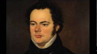 Schubert - Piano Trio in B flat major, Third Movement [Part 3/4]