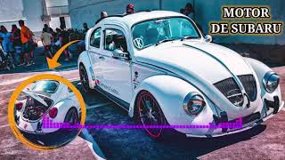 Frota vendendo jequiti para comprar o fusca !!😁