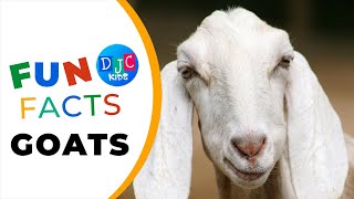 5 Fun Facts About Goats 🐐 Giddy Up with DJC Kids! Kid-Friendly Animal Adventures!