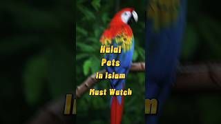 Halal Fets in islam #halal #pets #islam #halalpets #animallovers