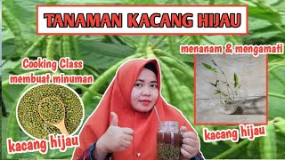 Menanam dan Mengamati serta Cooking Class Kacang Hijau with Bu Ifa