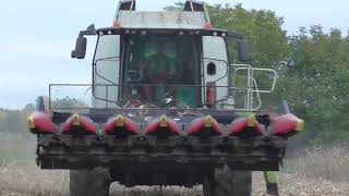 Sója/kukurica/slnečnica/Big autum harvest/jesienne żniwa/claas, john dere valtra