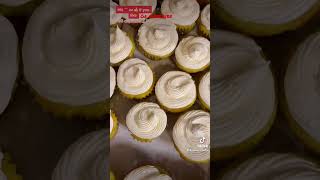 Cupcakes Regular Size (Red Velvet & Key-lime)