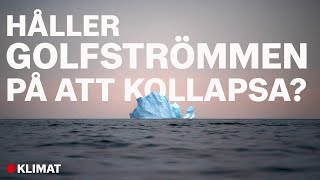 Håller Golfströmmen på att kollapsa och vad skulle det innebära?