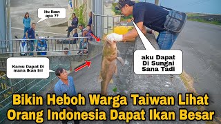 JADI TONTONAN !! IKAN BESAR INI BIKIN HEBOH WARGA TAIWAN SAAT BERKUMPUL SAMPAI JADI TONTONAN