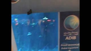 The Dubai Mall Aquarium