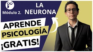 🤓📚 APRENDE PSICOLOGÍA GRATIS | MODULO 2 | CLASE 5 | LA NEURONA #psicologia #education #neurona