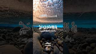 Surah Al Hajj #القرآن_الكريم #quranpak #islamicstatus #shortsyoutube #viral #viralshorts #viralvideo