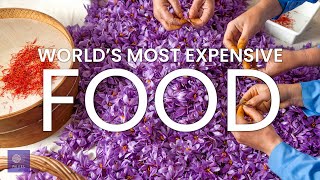 Most Expensive Food on Earth | Top 10 Most Expensive Food in the World 2022