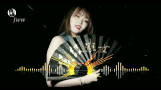 Rong Yi Shou Shang De Ni Ren - 容易受傷的女人 - 雷婷 Lei Ting DJ抖音版 2022 - (Hot Remix)