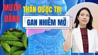 Mướp Đắng  có tác dụng gì - Mướp Đắng Thần DƯợc trị Gan NHiễm Mỡ| Đỗ Ngọc Diệp