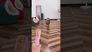 Cat feeding toy, Link is on bio or copy:www.niopets.com