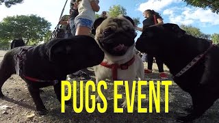 Pugs Meeting Event