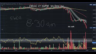 btc usdt 30th  sept 2024