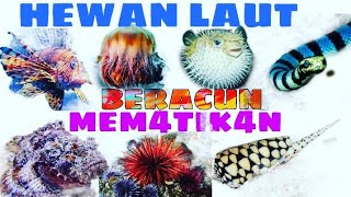 hewan laut berbahaya, 9 jenis hewan laut  ini beracun dan mematikan