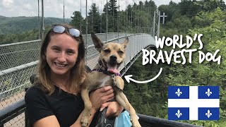 Ontario to Québec Road Trip | Coaticook Suspension Bridge