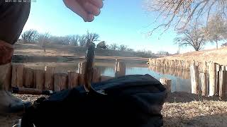 bullhead and green sunfish fishing