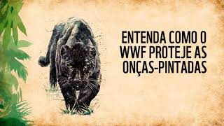 Exemplo de APRESENTAÇÃO EM POWER POINT_Projeto Onça Pintada WWF