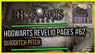 Hogwarts Castle Field Guide Revelio Pages #62 Quidditch Pitch