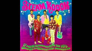 Various – Steam Kodok (26 A-Go-Go Ultrarities From The 60's Singapore & South-East Asia Underground)