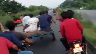 LiveLeak - Buffalo Cart Racing