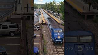 Metro North P32AC-DM #213 Gives A Horn Salute @ New Hamburg!