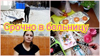 В больницу 🚑 Нежданный охранник 🤪 Вкусно и без заморочек 🤩