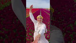 Happiness blooms among the flowers in Netherlands#SalamBooking #muslimfriendly #halaltourism #travel