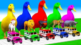 5 Giant Duck Cartoon, Cow, Elephant, Tiger, Paint Wild Animals Crossing Fountain Animation