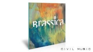 CIV056: Brassica - Hayat Zor EP (Preview Sampler) (inc. Remixes from Gavin Russom & Petrels)