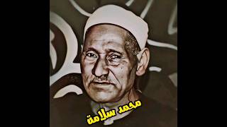 الشيخ محمد سلامة تلاوة مميزة        #تلاوة #القرآن #قاری #تلاوات #المنشاوي #عبدالباسط