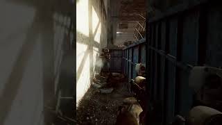 The way most Factory raids go in Escape From Tarkov...