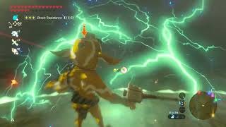 Satisfying Breath Of The Wild Combat Clips