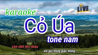 karaoke" Cỏ Úa" tone nam" Karaoke Huyền JP