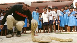 स्कूल में बच्चों के साथ बड़ा हादसा होने से टला,नाग देखें कहां छिपा बैठा था Cobra hidden in school