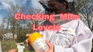 Checking Mite Levels          #Howtocheckformites #mites #honeybees #beekeeper #beehives