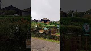 Basarikatte Misty Peaks Home stay | Best home saty | Balehonnur | Chikkamagalur