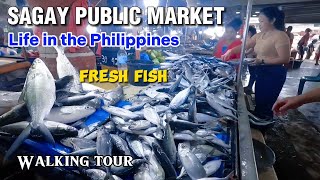 Fish fresh in Sagay Public Market Walking tour 2023