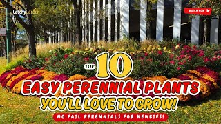 🌱 NO FAIL PERENNIALS FOR NEWBIES! 👏 10 EASY PLANTS YOU'LL LOVE TO GROW! 💚 // Gardening Ideas