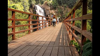 Waterfall: Way to Forest peaceful walk in between trees | path above water | magic of nature