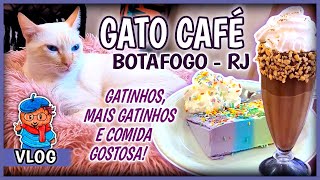 GATO CAFÉ: VOCÊ JÁ VISITOU UM ? CONFIRA AQUI COMO É !